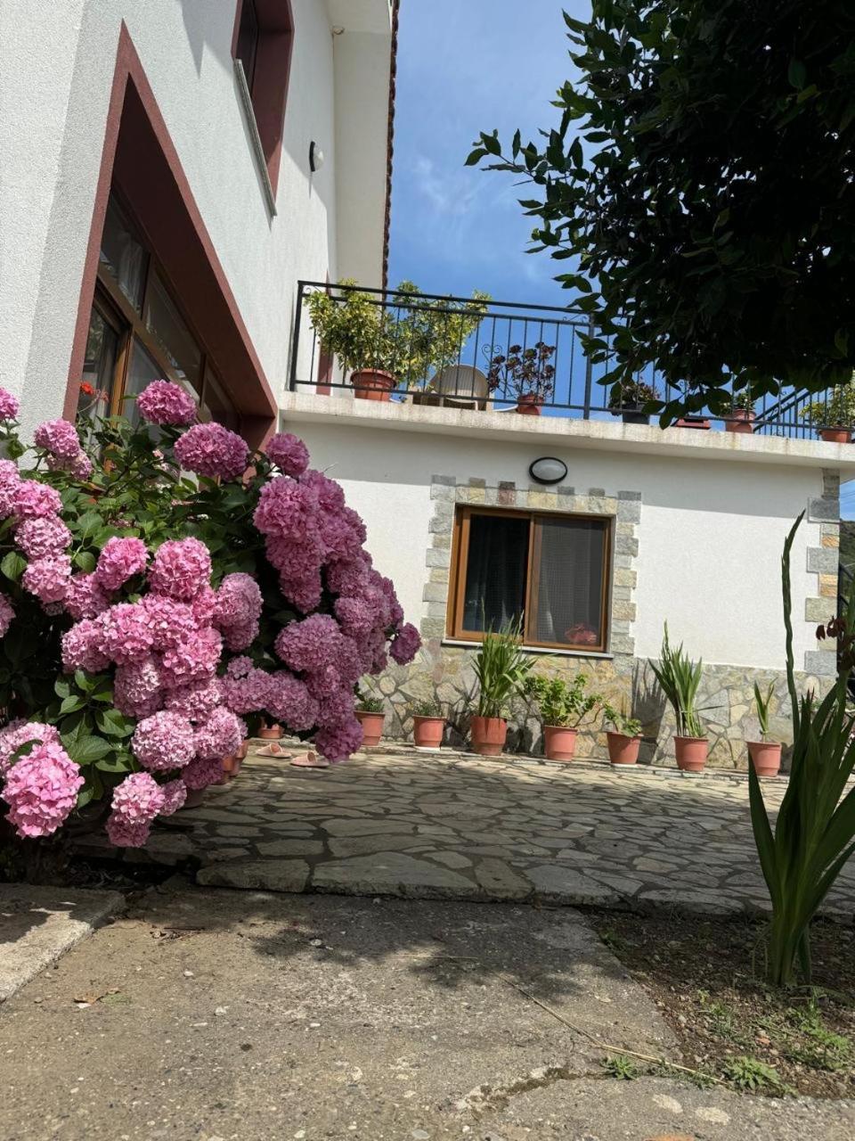 Villa Zefi Rrenc Papaj Екстериор снимка
